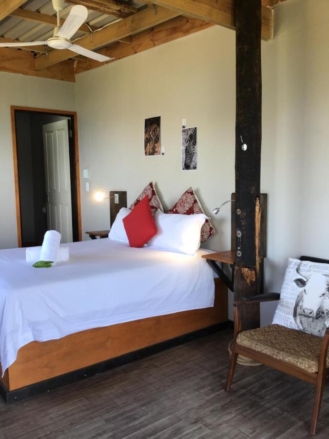 Coram Deo Saltywaves Double En-Suite Rooms With Sea Views Coffee Bay Buitenkant foto