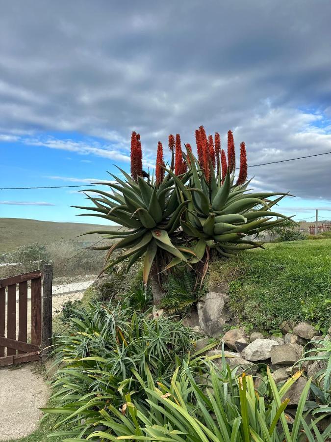 Coram Deo Saltywaves Double En-Suite Rooms With Sea Views Coffee Bay Buitenkant foto